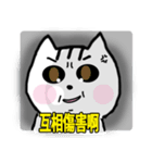 chao hu cat part12（個別スタンプ：27）