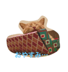 ねこねこ生活（個別スタンプ：6）