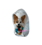 パピヨンのショコラ（個別スタンプ：7）
