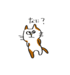 気まぐれねこのちょめ太（個別スタンプ：25）
