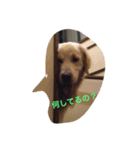 宙 陸（個別スタンプ：6）