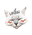 Kaow Neung（個別スタンプ：3）