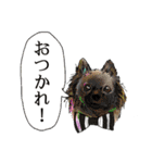 ハッピードッグライフ★（個別スタンプ：3）