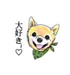 ハッピードッグライフ★（個別スタンプ：16）