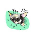 ハッピードッグライフ★（個別スタンプ：19）