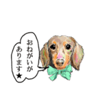 ハッピードッグライフ★（個別スタンプ：21）
