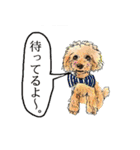 ハッピードッグライフ★（個別スタンプ：31）