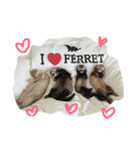 I LOVE FEREET フェレット 2（個別スタンプ：6）