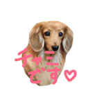 チャミちゃん（個別スタンプ：1）