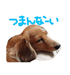 チャミちゃん（個別スタンプ：7）