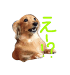 チャミちゃん（個別スタンプ：11）