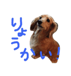 チャミちゃん（個別スタンプ：22）
