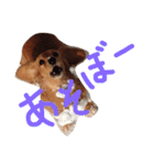 チャミちゃん（個別スタンプ：26）