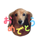 チャミちゃん（個別スタンプ：27）