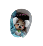 しすたーず2（個別スタンプ：3）