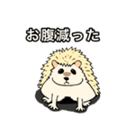 ハリネズミスタンプ（個別スタンプ：3）