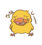 可愛いひよちゃん（個別スタンプ：20）