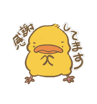 可愛いひよちゃん（個別スタンプ：24）