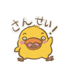可愛いひよちゃん（個別スタンプ：37）