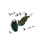 黒ウミウシ（個別スタンプ：7）