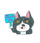 はちわれ猫の一徳スタンプ2（個別スタンプ：1）