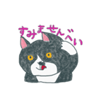はちわれ猫の一徳スタンプ2（個別スタンプ：2）