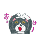 はちわれ猫の一徳スタンプ2（個別スタンプ：4）