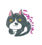 はちわれ猫の一徳スタンプ2（個別スタンプ：9）