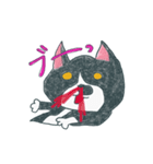 はちわれ猫の一徳スタンプ2（個別スタンプ：13）