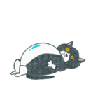 はちわれ猫の一徳スタンプ2（個別スタンプ：16）