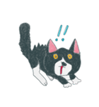 はちわれ猫の一徳スタンプ（個別スタンプ：2）
