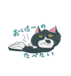 はちわれ猫の一徳スタンプ（個別スタンプ：4）