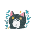 はちわれ猫の一徳スタンプ（個別スタンプ：6）