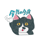 はちわれ猫の一徳スタンプ（個別スタンプ：9）