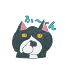 はちわれ猫の一徳スタンプ（個別スタンプ：10）