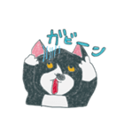 はちわれ猫の一徳スタンプ（個別スタンプ：12）