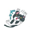 はちわれ猫の一徳スタンプ（個別スタンプ：14）