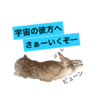 ルーシースタンプ2（個別スタンプ：8）
