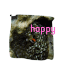海の魚スタンプ（個別スタンプ：2）