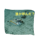 海の魚スタンプ（個別スタンプ：3）