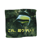 海の魚スタンプ（個別スタンプ：4）
