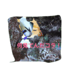 海の魚スタンプ（個別スタンプ：5）