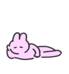 ほのぼのうさぎと家族（個別スタンプ：19）