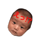 日刊まめぞう（個別スタンプ：2）