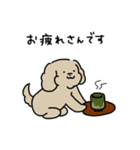 ゆるいぬジロちゃん（三重弁2）（個別スタンプ：8）