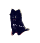 くろぽめれんたん（個別スタンプ：3）