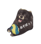 くろぽめれんたん（個別スタンプ：4）