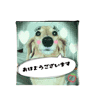 お気楽ダックスさん（個別スタンプ：4）