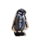 色んな動物に言葉をつけて（個別スタンプ：10）