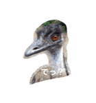 色んな動物に言葉をつけて（個別スタンプ：14）